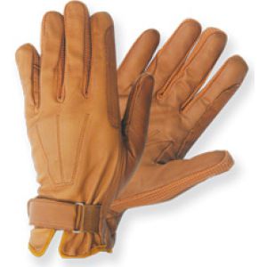 Riding Gloves