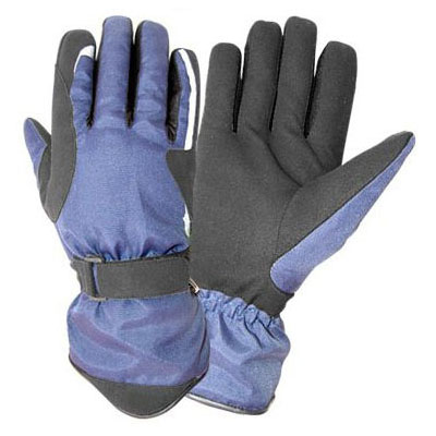 Ski Gloves