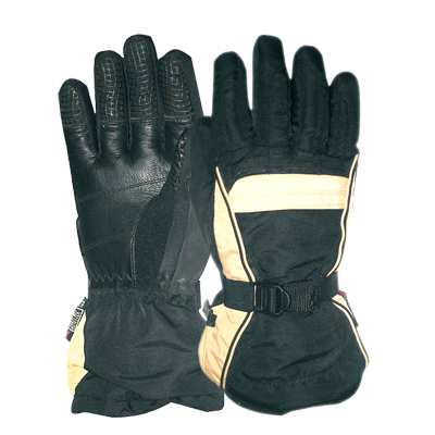 Ski Gloves