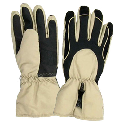 Ski Gloves